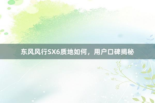 东风风行SX6质地如何，用户口碑揭秘