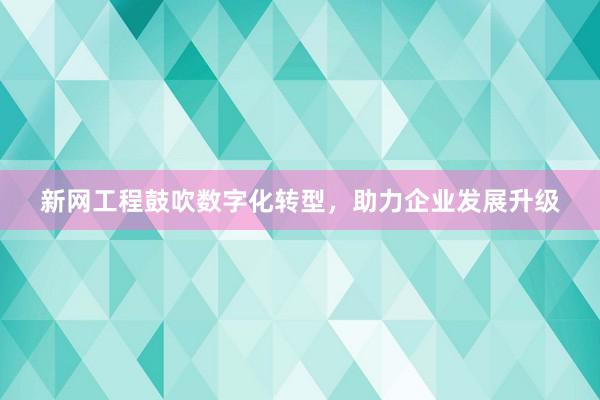 新网工程鼓吹数字化转型，助力企业发展升级